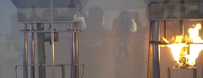 ��Ƭ늳ش��̌��