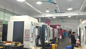 �z�y����